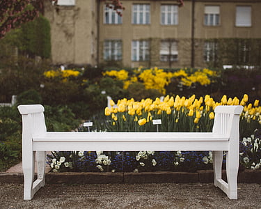 white wooden bench thumbnail