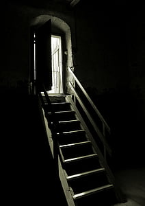 brown step rails thumbnail