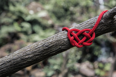 red rope tie on tree branch thumbnail