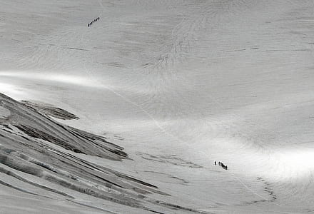 grayscale photography of wide area thumbnail