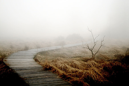 photo of brown grass field near pathway thumbnail