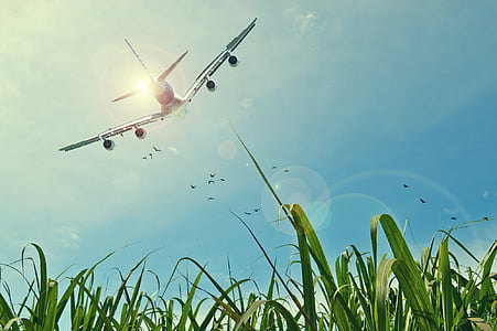 airplane flying thumbnail