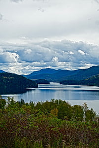 photo of large body of water and forest thumbnail