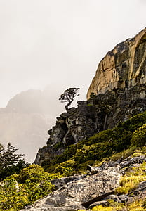 green grass and trees on gray rocky mountain thumbnail