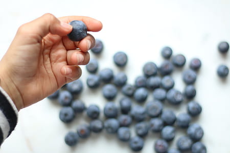 Person Holding Blueberry thumbnail