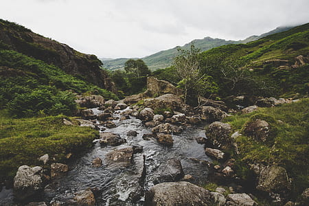 river and stones near trees on hills thumbnail