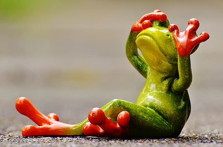red-eyed tree frog covering its eyes thumbnail