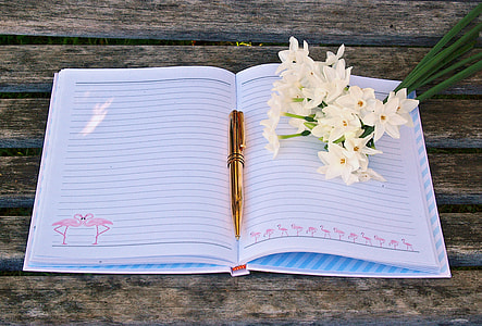 flat lay photography of open notebook with pen and flowers on top thumbnail