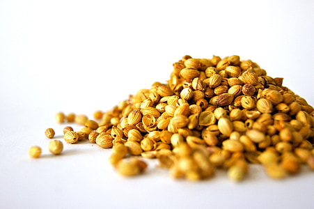 pile of brown seeds thumbnail