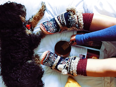 person holding brown mug thumbnail