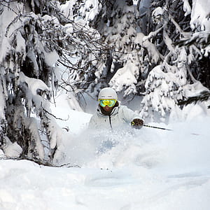 person skiing snow-covered woods thumbnail