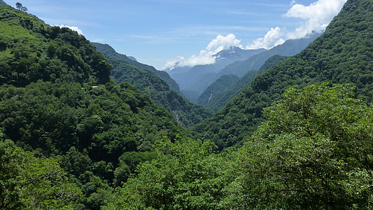 green mountain with trees during daytime thumbnail