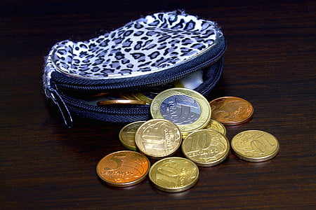 euro coin collection near purse thumbnail