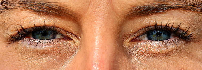 close-up portrait photo of human eyes thumbnail