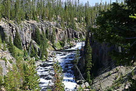 river surrounded trees and rocks thumbnail