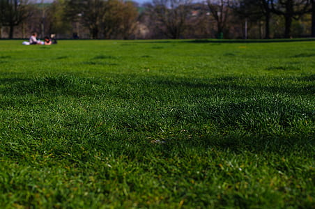 green grass field thumbnail