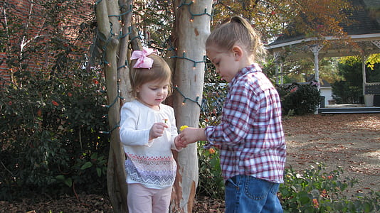 two child playing near tree with string lights during daytime thumbnail