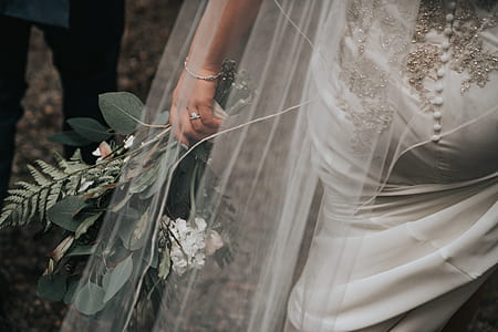 woman holding green leaf plant thumbnail