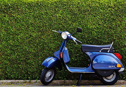 Blue Moped by Green Bush at Roadside thumbnail