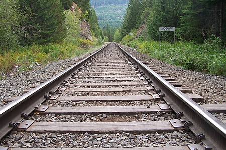 beige and gray train rail surrounded by trees thumbnail