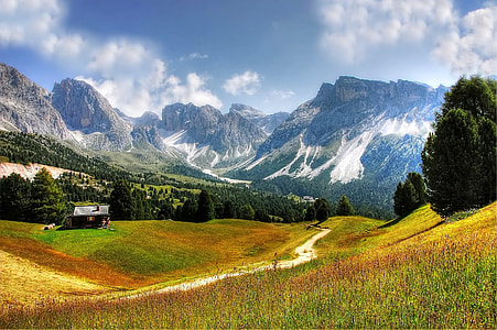 shed near mountain and trees thumbnail