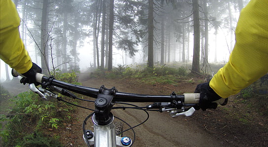 person riding bicycle surrounded by forest trees thumbnail
