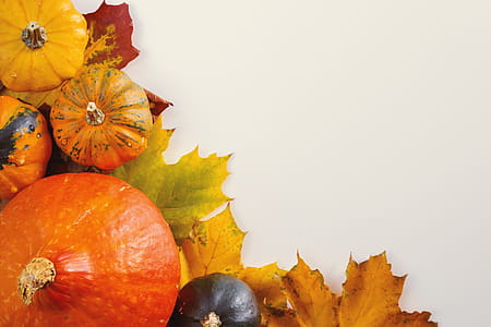 Pumpkins on white background with the autumn leaves thumbnail
