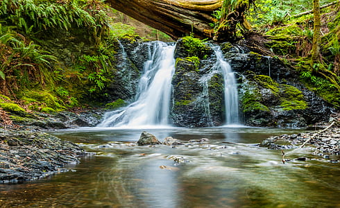 waterfall near forest thumbnail