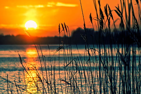 photography of grass beside body of water during golden hour thumbnail