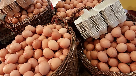chicken egg lot thumbnail