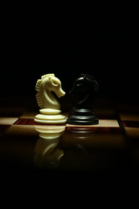 Two White and Black Chess Knights Facing Each Other on Chess Board thumbnail