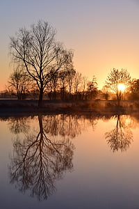 silhouette of tress during sunset thumbnail