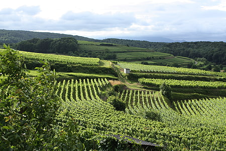 landscape photography of a farm thumbnail