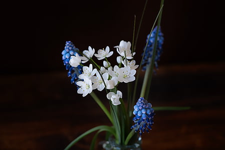 shallow focus photography of white petal flower thumbnail