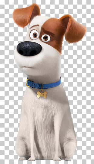 Max Duke Snowball Dog Universal s, The Secret Life of Pets Max Transparent , Life of Pets Max PNG clipart