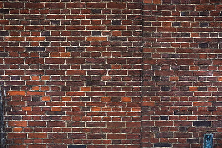 photography of brown wall bricks thumbnail