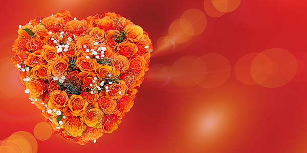 close-up photo of orange flower bouquet thumbnail