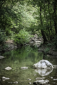 river between trees thumbnail