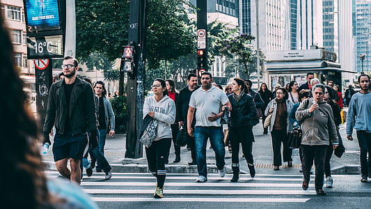 People Walking on Pedestrian Lane during Daytime thumbnail
