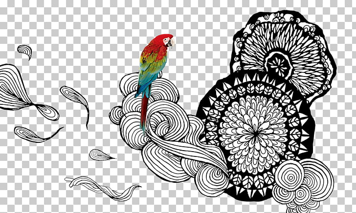 Amazon Parrot Drawing Parrot And Hand Painted Flowers Png Clipart Free Cliparts Uihere