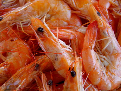cooked prawns thumbnail