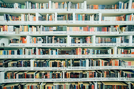 book lot on white wooden shelves inside room thumbnail