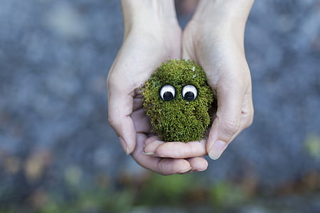 person holding bush with two eyes thumbnail