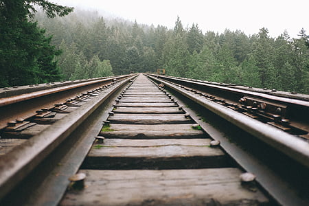 train rail in the middle of forest thumbnail