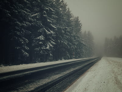 selective focus photography of road thumbnail