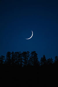 light, nature, night, dark thumbnail