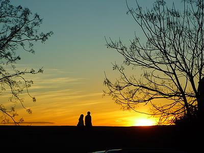 silhouette photography of man and woman between trees thumbnail
