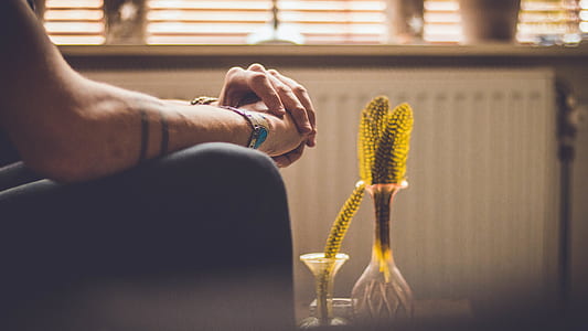 person sitting in front of yellow flowers thumbnail