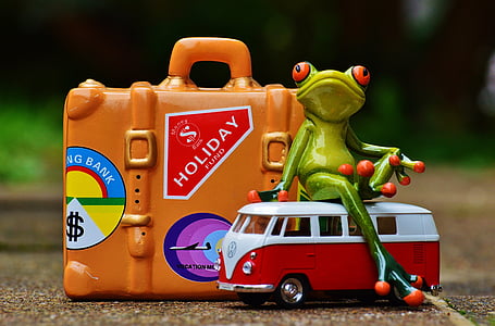 green frog plastic toy thumbnail