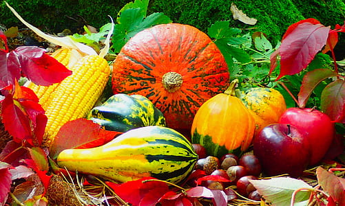 lot of assorted fruits and vegetables thumbnail